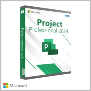 Microsoft Project Professional 2024