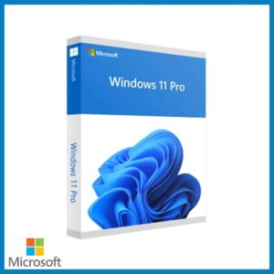 Windows 11 Professional – Product Key